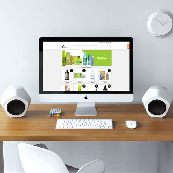 wykonanie sklepu internetowego