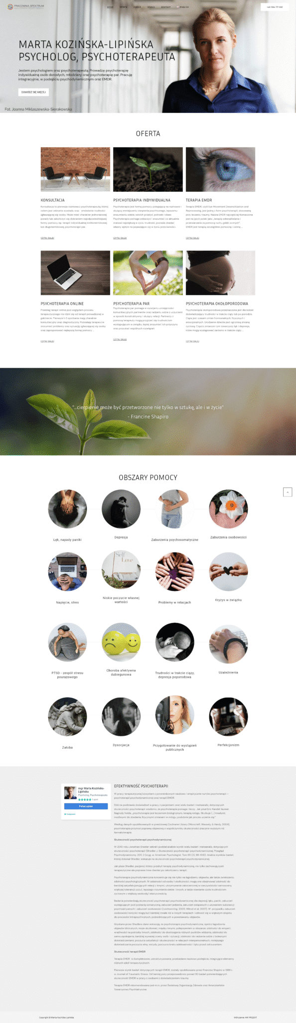 wykonanie strony www