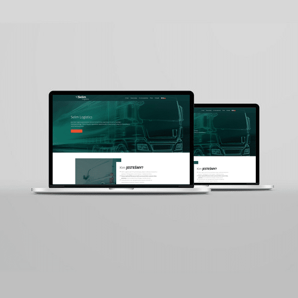 projekt i wykonanie strony