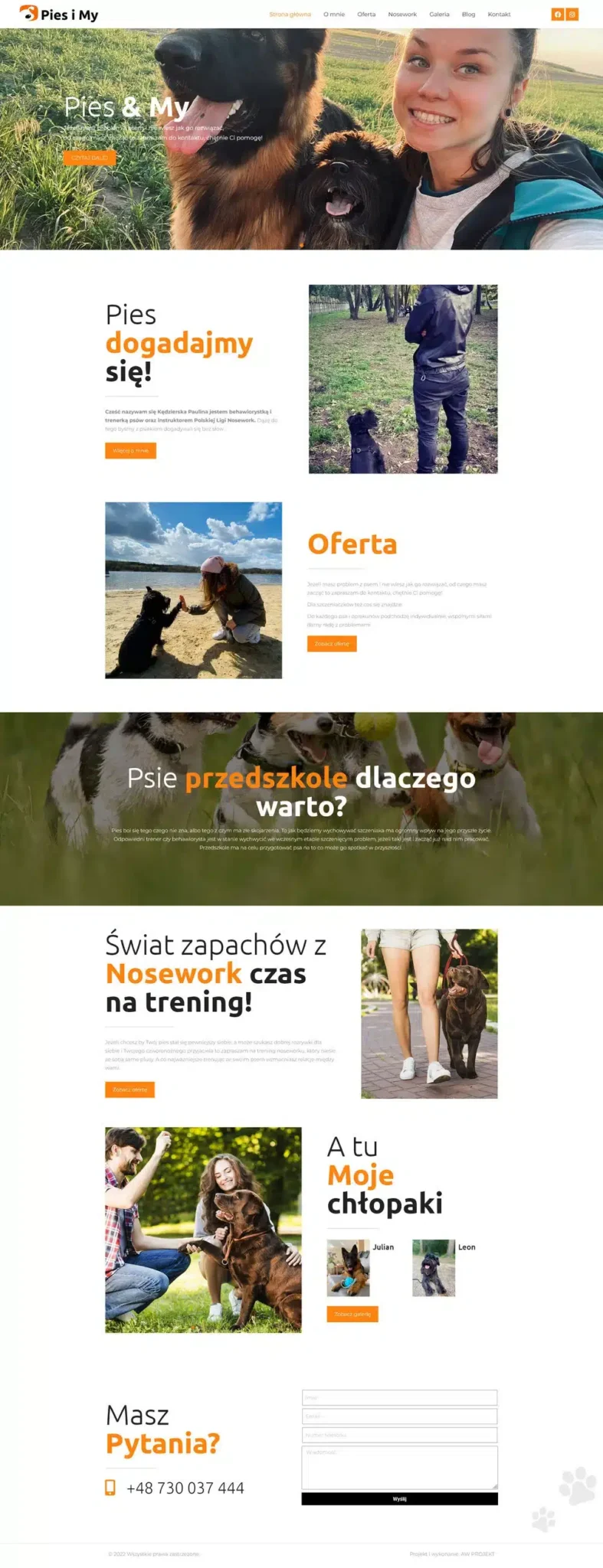 wykonanie-strony_www