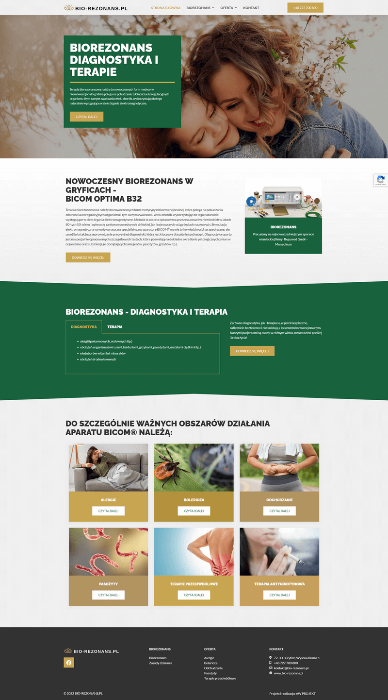 wykonanie strony wordpress