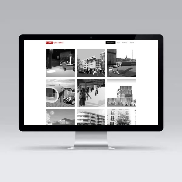 wykonanie strony www_pumarchitekci