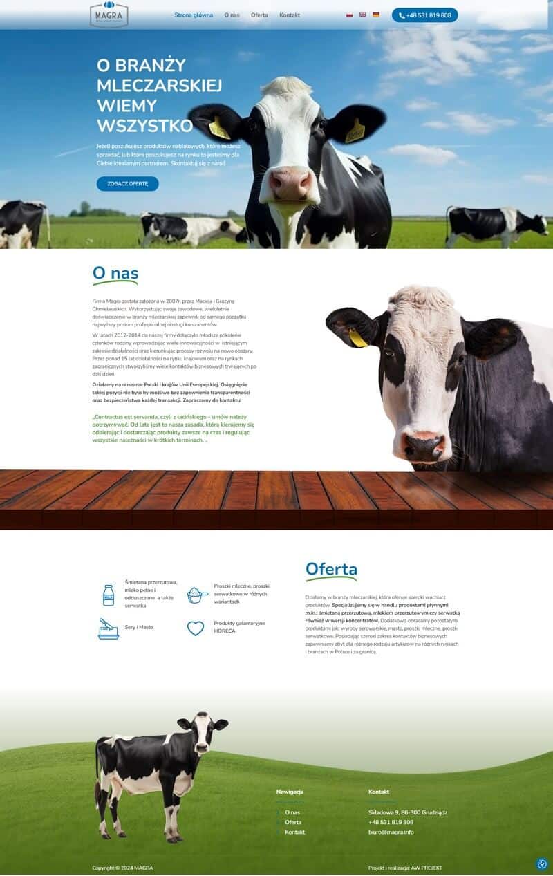 projekt i wykonanie strony internetowej dla firmy MAGRA