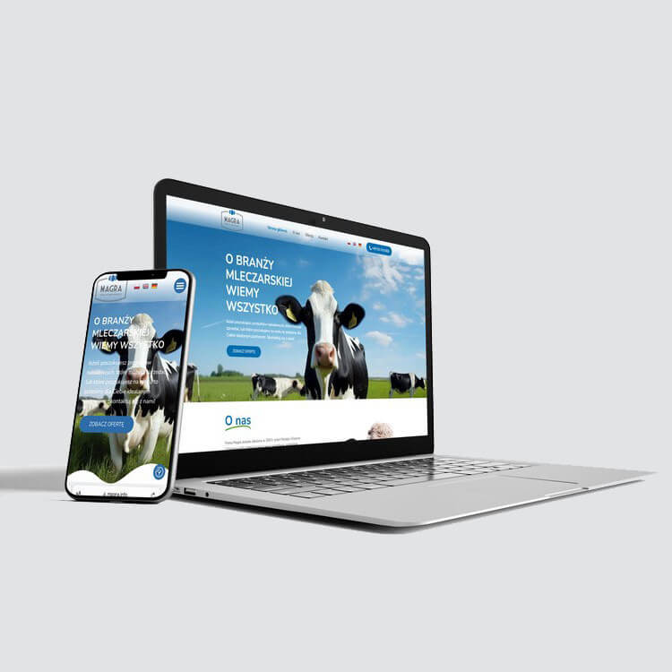 wykonanie strony www magra