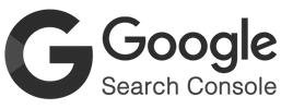 Google Search Console - logo